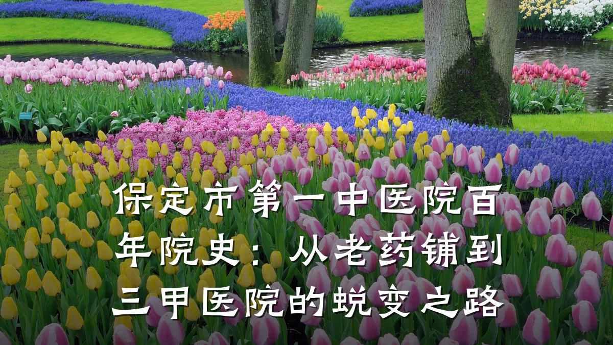 保定市第一中医院百年院史：从老药铺到三甲医院的蜕变之路