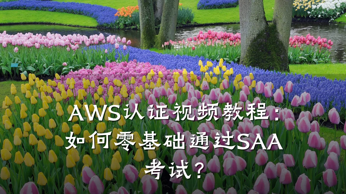 AWS认证视频教程:如何零基础通过SAA考试?