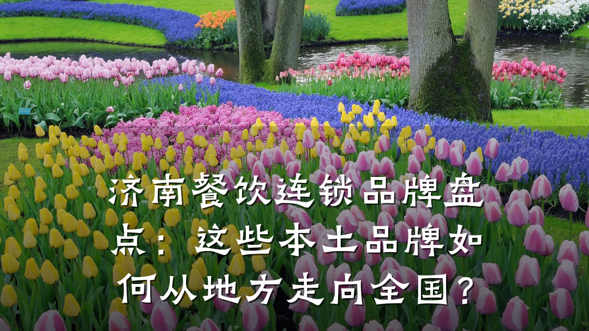 济南餐饮连锁品牌盘点:这些本土品牌如何从地方走向全国?