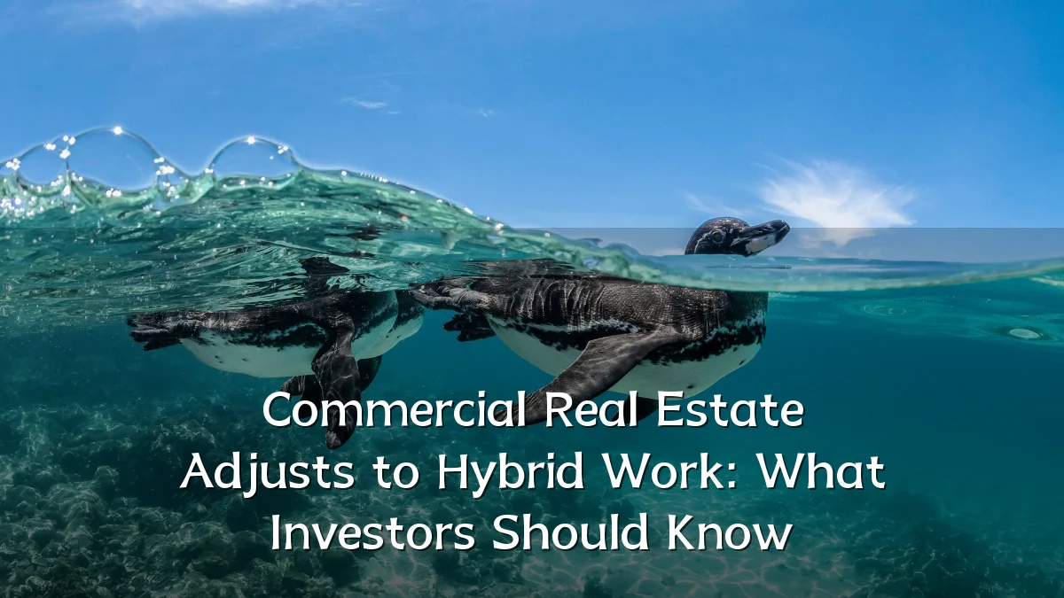 Commercial Real Estate Adjusts to Hybrid Work: What Investors Should Know
