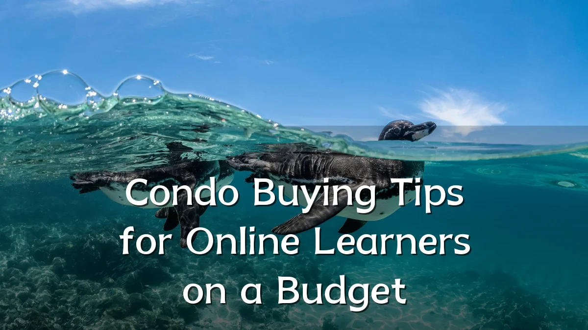 Condo Buying Tips for Online Learners on a Budget