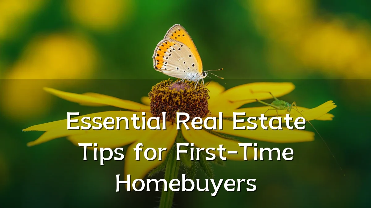 Essential Real Estate Tips for First-Time Homebuyers