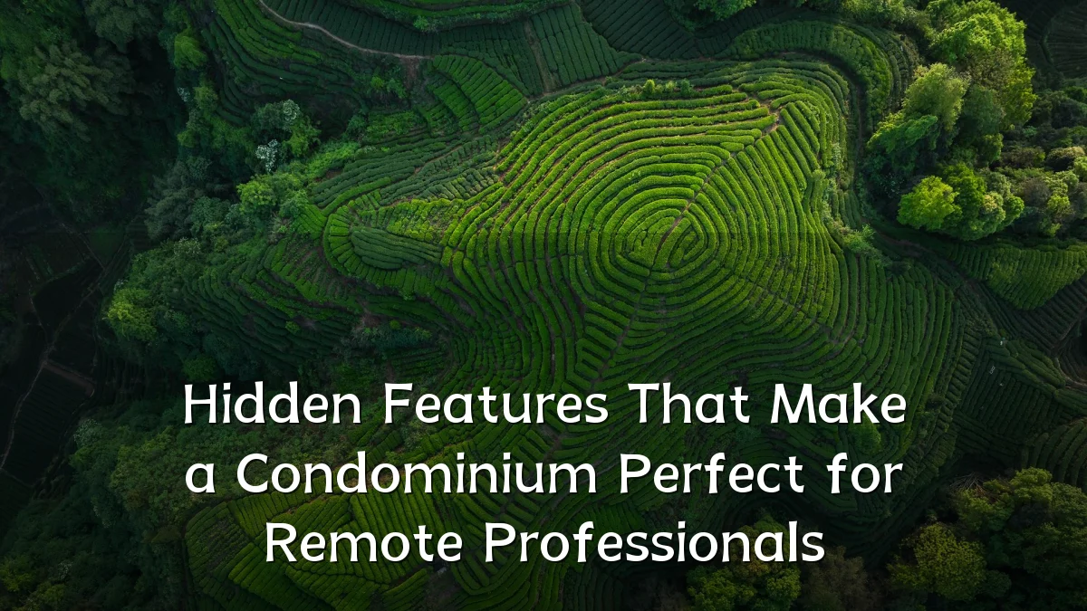 Hidden Features That Make a Condominium Perfect for Remote Professionals