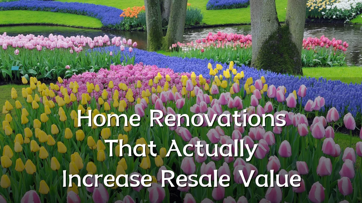 Home Renovations That Actually Increase Resale Value