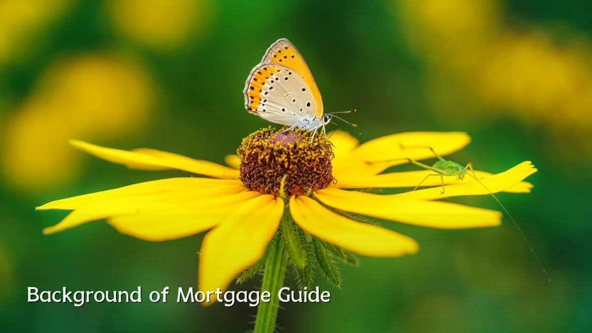 Background of Mortgage Guide