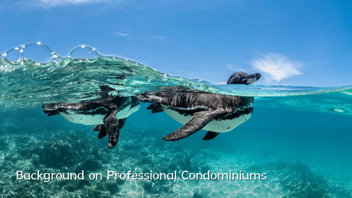 Background on Professional Condominiums