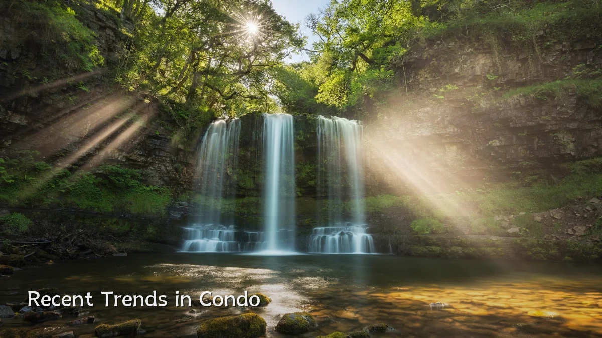 Recent Trends in Condo
