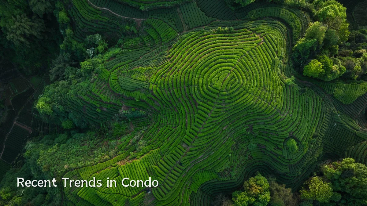 Recent Trends in Condo