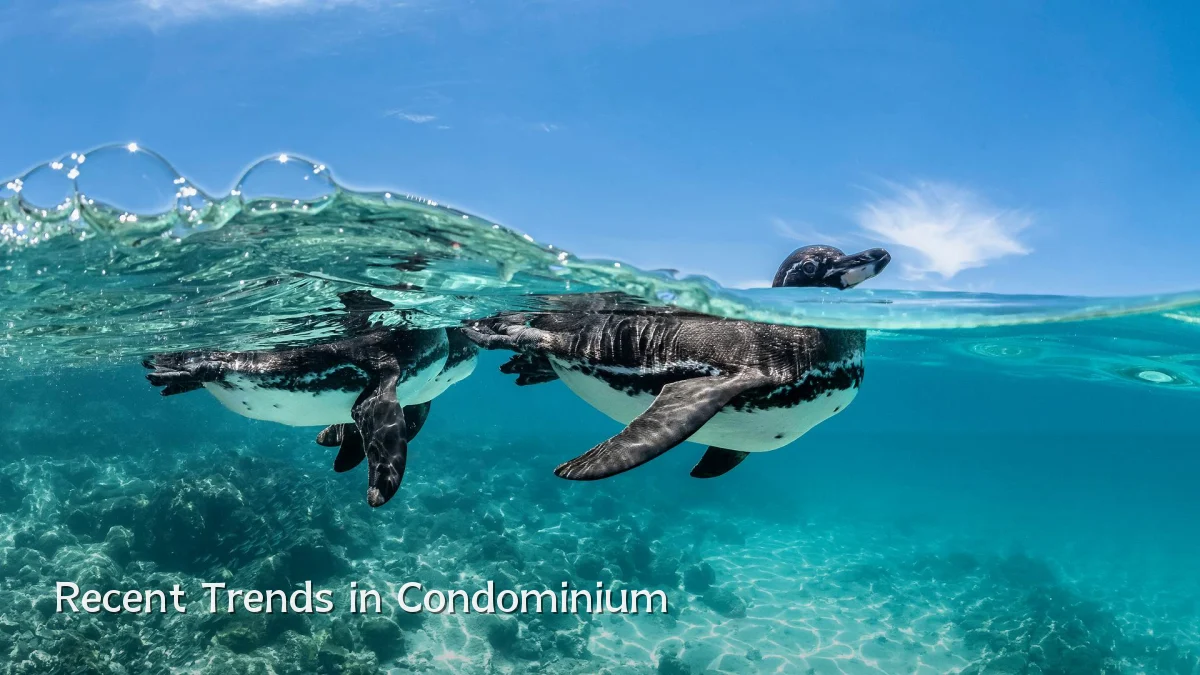 Recent Trends in Condominium