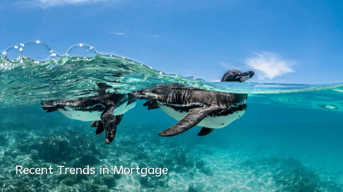 Recent Trends in Mortgage