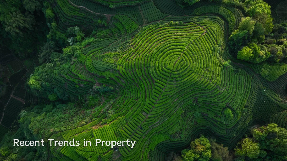Recent Trends in Property