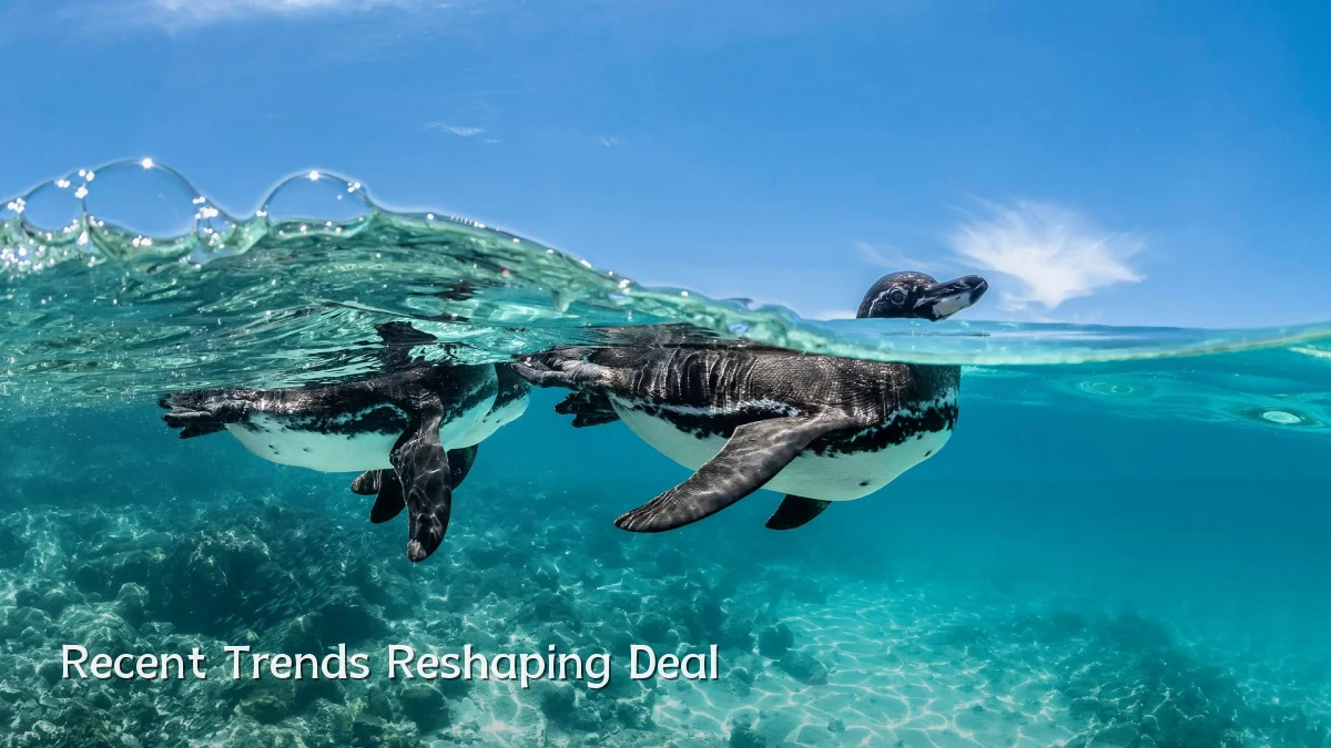 Recent Trends Reshaping Deal