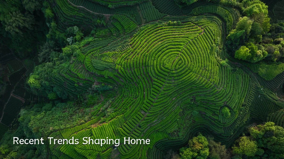 Recent Trends Shaping Home