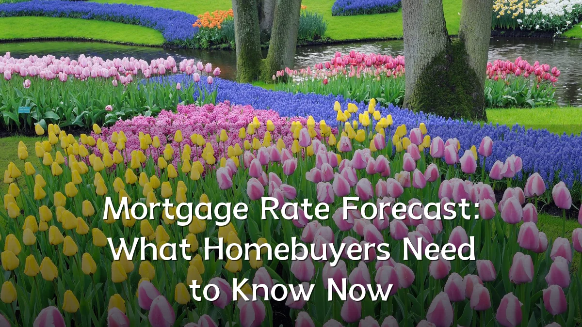 Mortgage Rate Forecast: What Homebuyers Need to Know Now