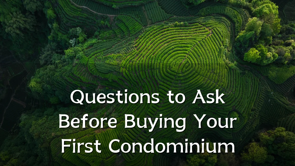 Questions to Ask Before Buying Your First Condominium