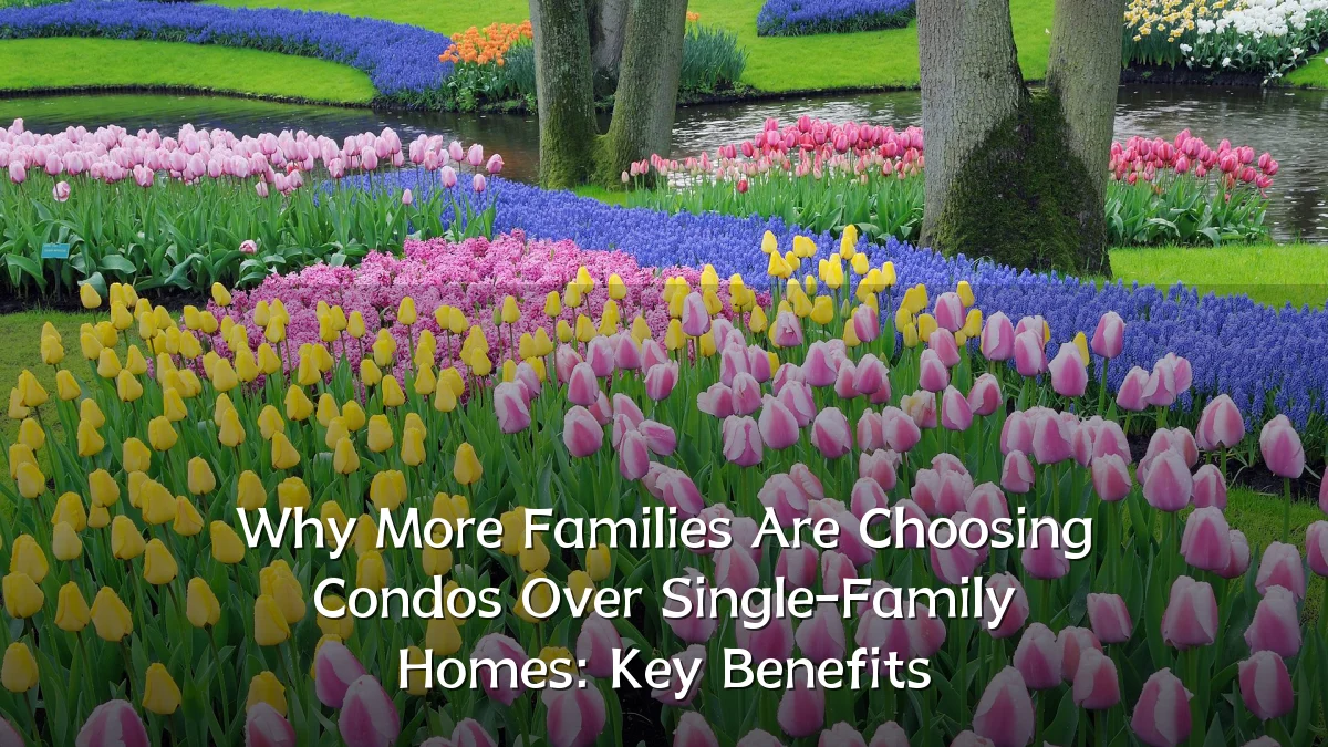 Why More Families Are Choosing Condos Over Single-Family Homes: Key Benefits