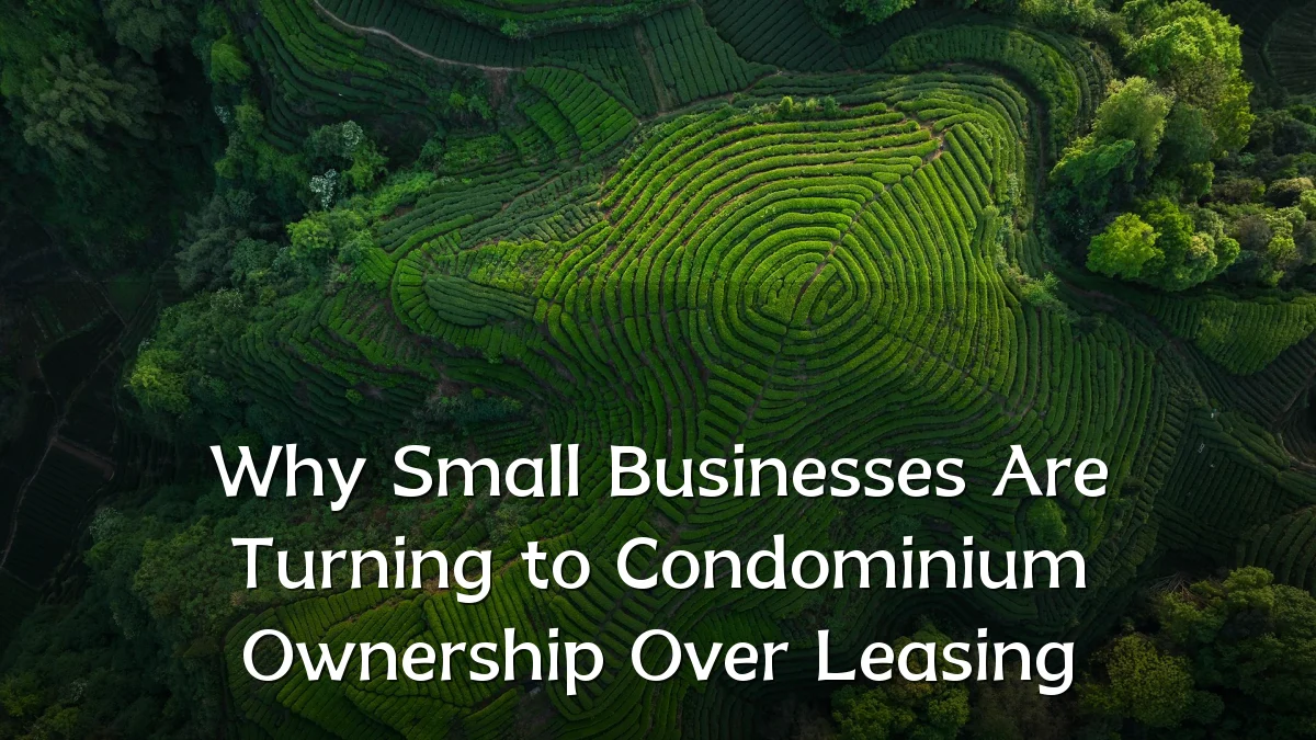 Why Small Businesses Are Turning to Condominium Ownership Over Leasing