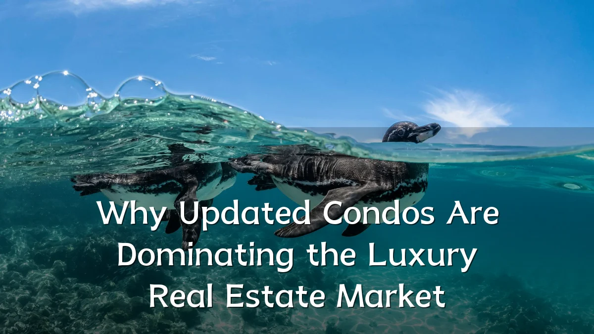 Why Updated Condos Are Dominating the Luxury Real Estate Market