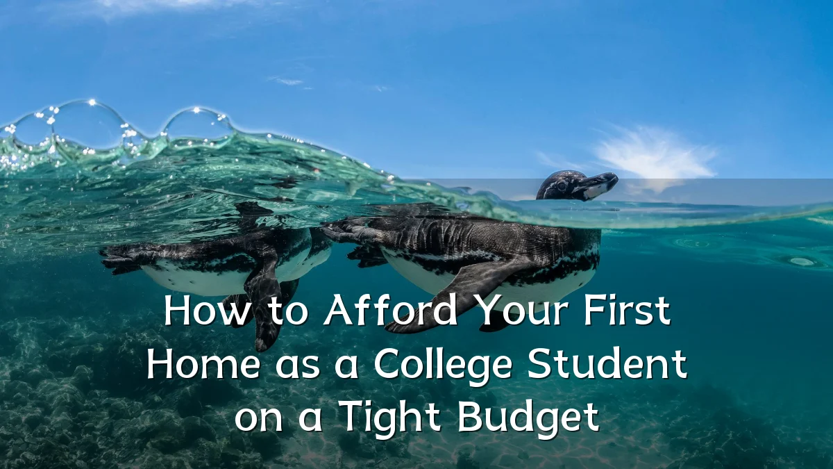 How to Afford Your First Home as a College Student on a Tight Budget