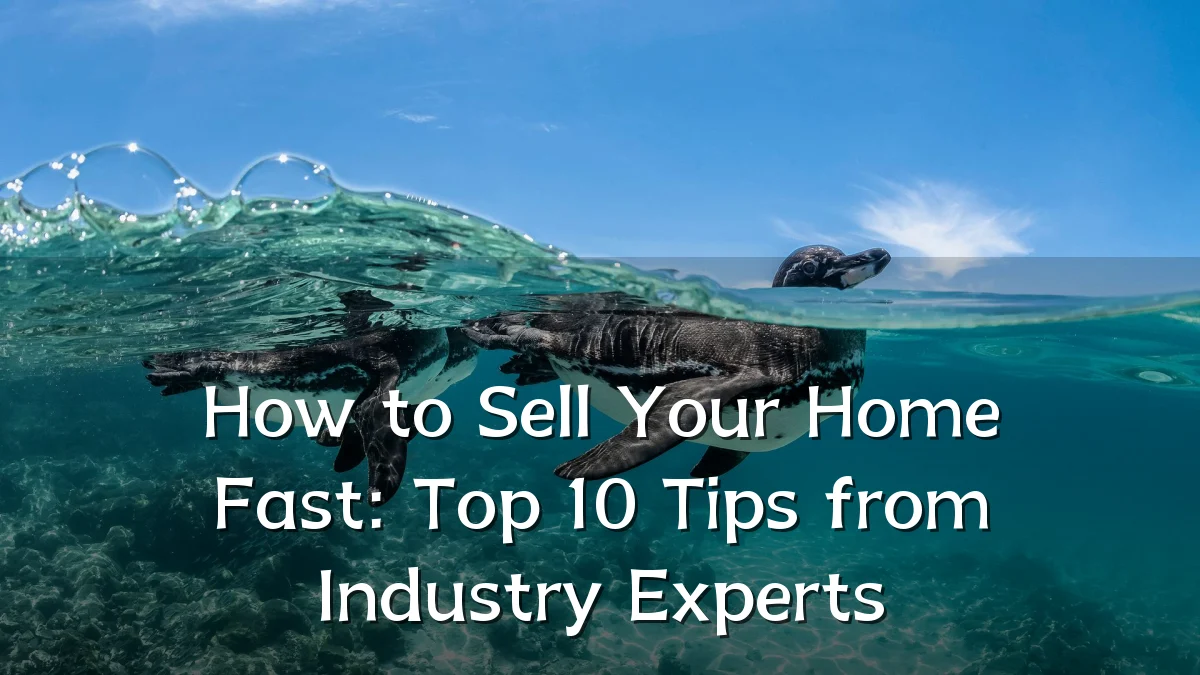 How to Sell Your Home Fast: Top 10 Tips from Industry Experts