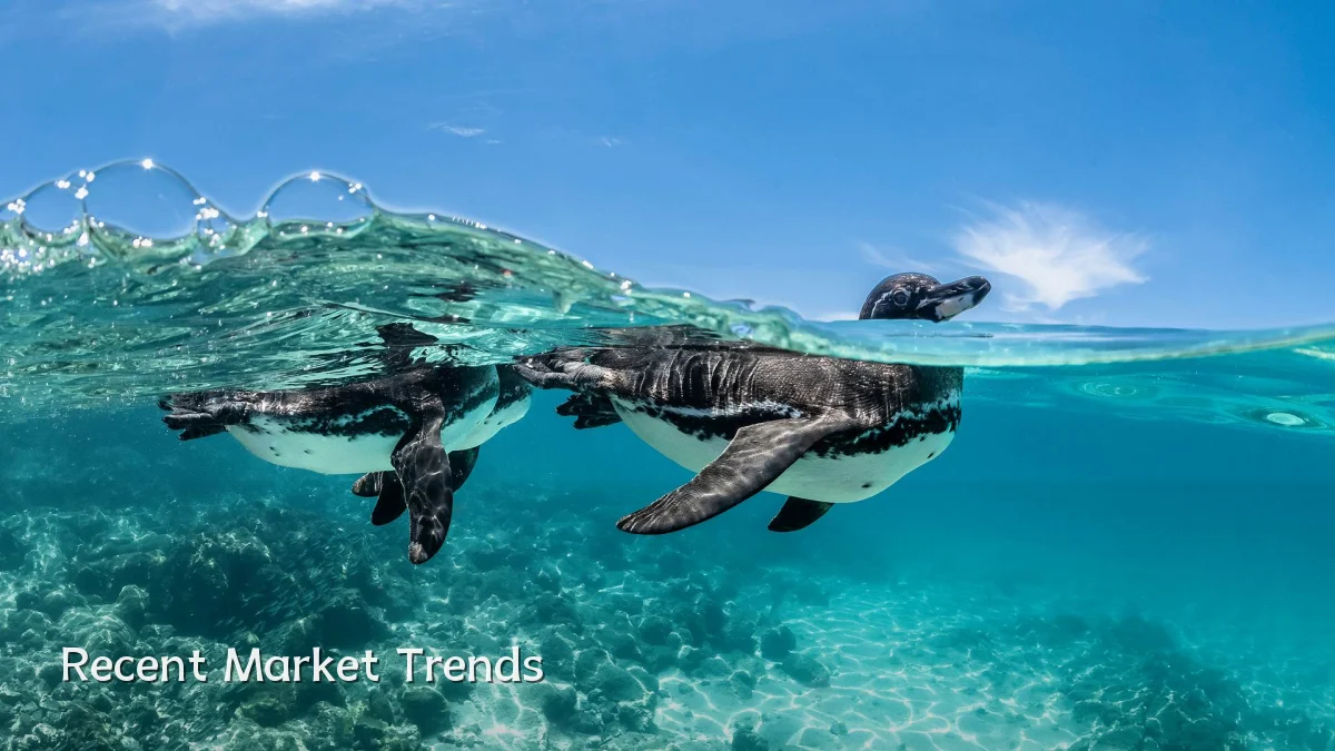 Recent Market Trends