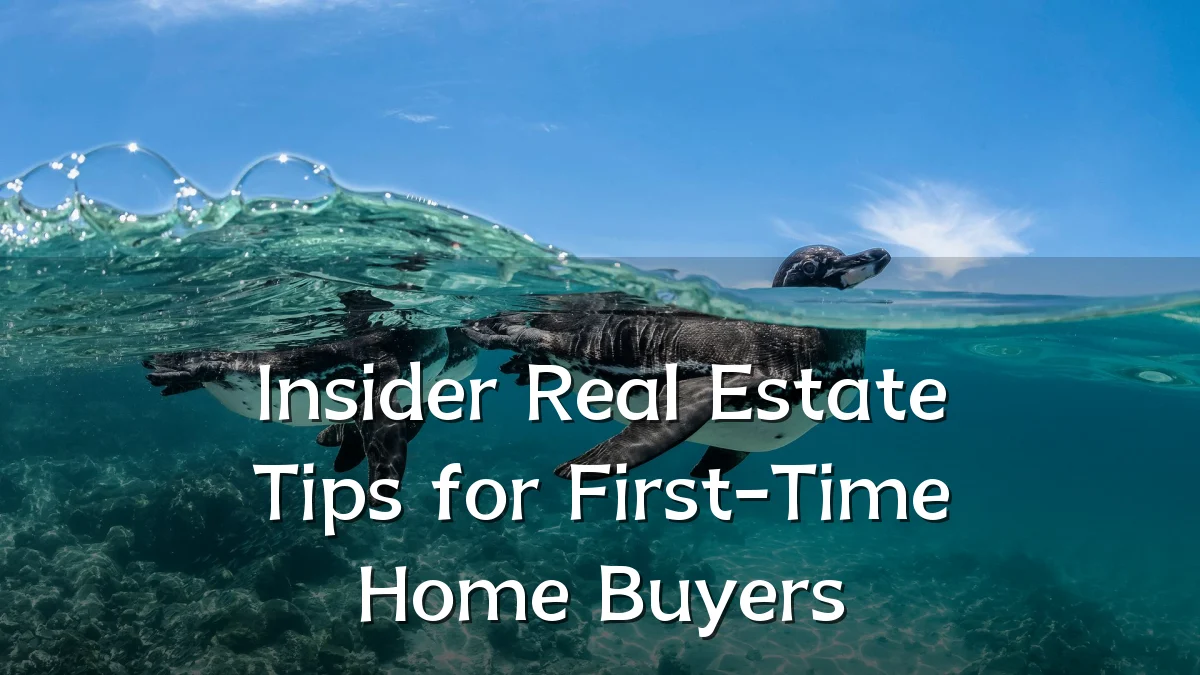 Insider Real Estate Tips for First-Time Home Buyers