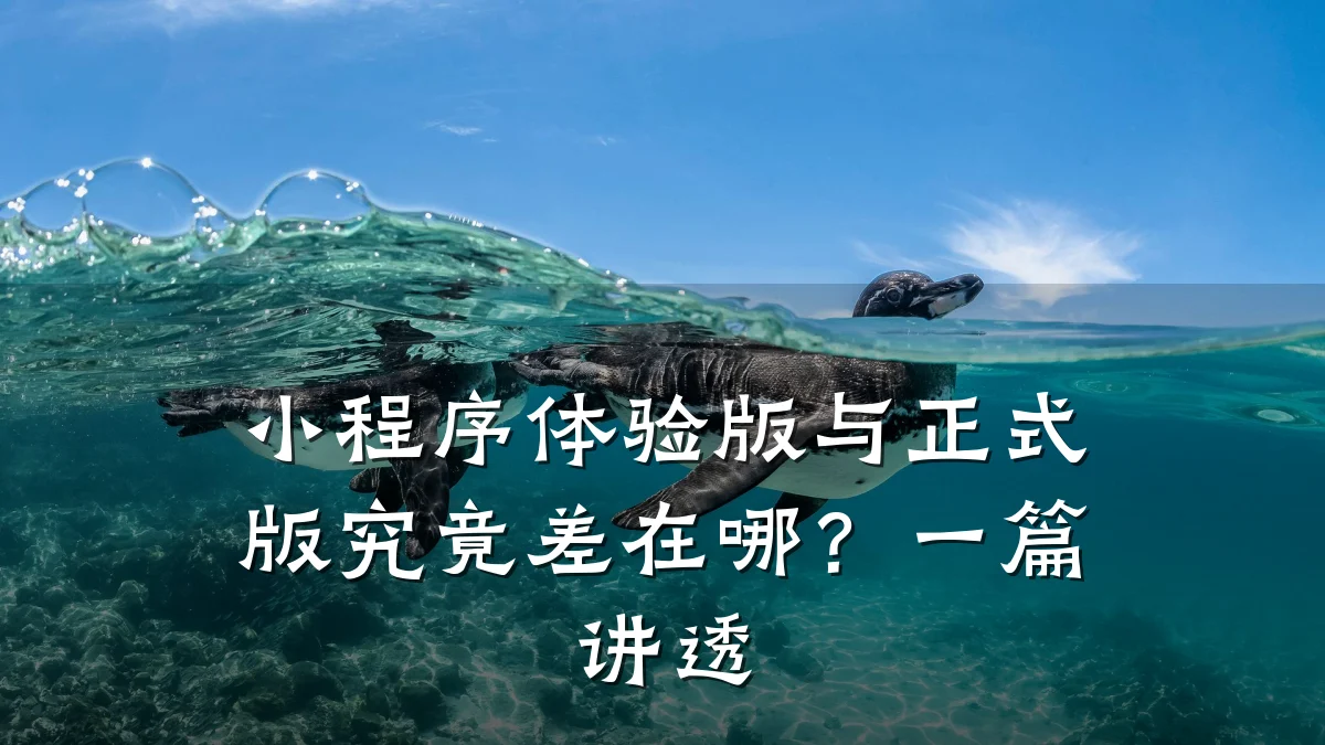 小程序体验版与正式版究竟差在哪?一篇讲透