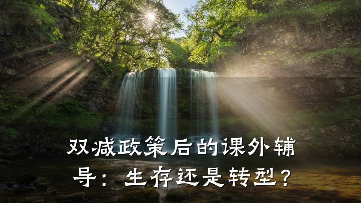 双减政策后的课外辅导:生存还是转型?